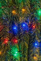 Close up background photograph of artificial green pine branches with colorful Christmas lights making a festive holiday backdrop.