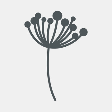 Fennel dill botany flower natural tree quality vector illustration cut