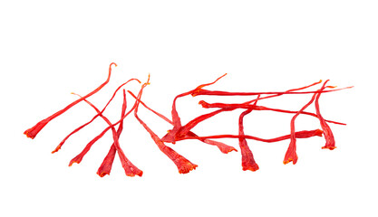 Obraz na płótnie Canvas dried saffron spice isolated on the white background.