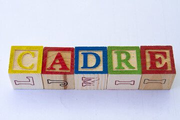 The term cadre displayed visually on a clear background with copy space