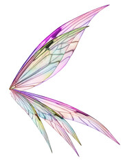 Obraz na płótnie Canvas Png Fairy Wing Overlay 6 By ATP Textures