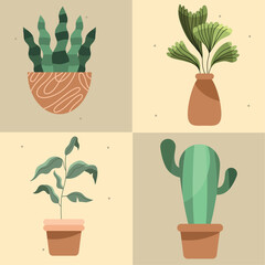 four houseplants in pots