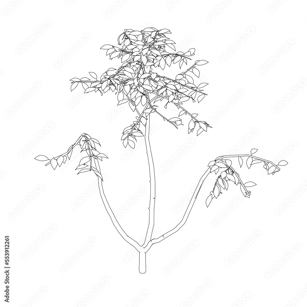 Poster outline of a tree from black lines isolated on a white background. 3d. vector illustration.