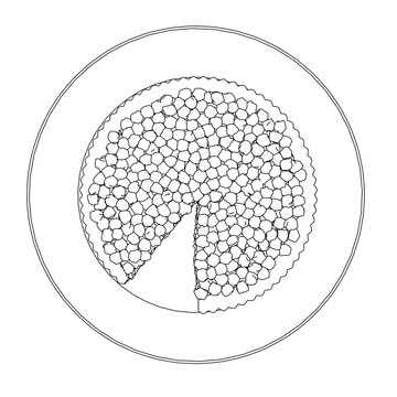 The Contour Of A Pie With Berries With A Cut Piece On A Plate From Black Lines Isolated On A White Background. View From Above. 3D. Vector Illustration.