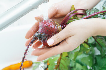Cropped photo of woman washing fresh beet with leaves with hands under running splashing water in...