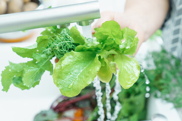 Cropped photo of woman washing fresh greenery lettuce dill with hand under running water in sink in kitchen. Soft focus.