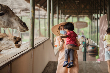 Fototapeta na wymiar Asian female tourist in hat happily holding baby giraffes feeding giraffes in zoo during holiday.