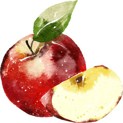 Red apple hand drawn watercolor painting