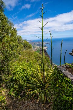 Cabo Girao Lookout on the island of Madeira