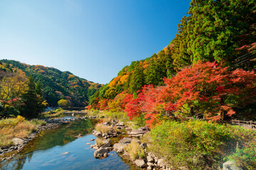 愛知県豊田市足助町　紅葉した秋の香嵐渓