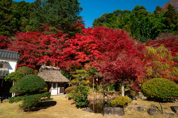 愛知県豊田市足助町　紅葉した秋の香嵐渓