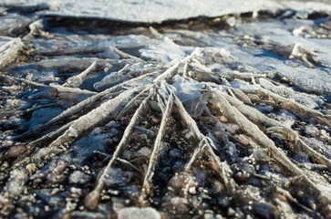 Frozen puddle water abstract pattern cold temperature below zero, Winter ice crystals surface close up selective focus