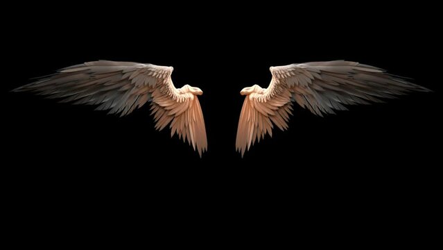 Real Angel wings , flying wings green screen , feather angel wings , golden angel wings.