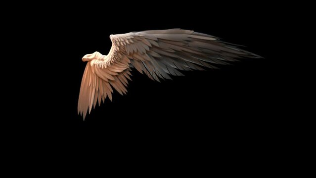 Real Angel wings , flying wings green screen , feather angel wings , golden angel wings.