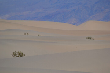 Fototapeta na wymiar desert dunes with mountains in the background
