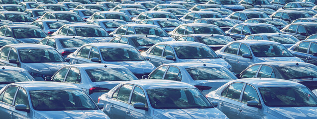 Rows of a new cars parked in a distribution center on a car factory on a sunny day. Top view to the parking in the open air. - obrazy, fototapety, plakaty