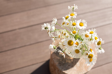 Bouquet of daisies in the sun.