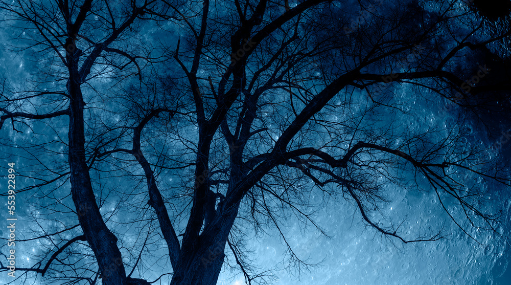 Poster Silhouette of barren lone tree with 
 lunar eclipse 