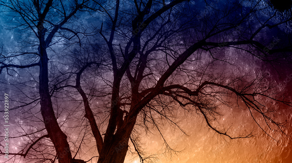 Poster silhouette of barren lone tree with lunar eclipse 