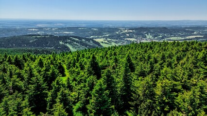 Sudety - Góry Bystrzyckie / Polska