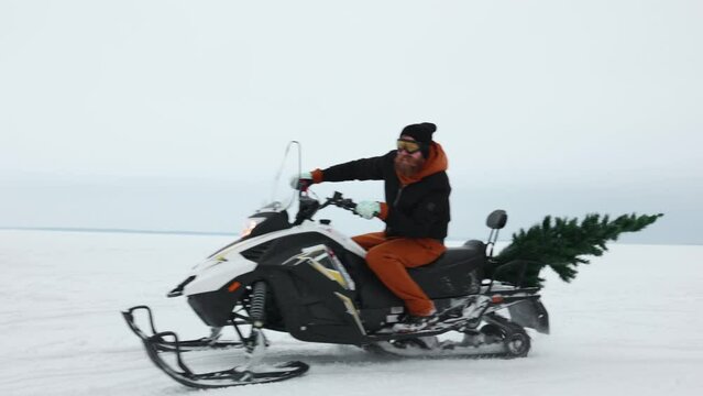 young family carries Christmas tree snowmobile through snowy field,holidays