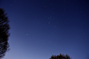 街中から見える冬の星空　オリオン座　おおいぬ座　うさぎ座　天体観測
