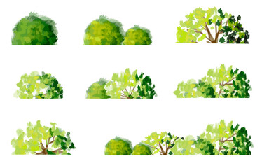 vector watercolor green tree side view isolated on white background for landscape and architecture drawing, elements for environment and garden,botanical elements for section in spring
