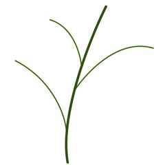 Illustration graphic of Floral and Flower. Perfect for banner, social media, etc.