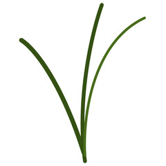 Illustration graphic of Floral and Flower. Perfect for banner, social media, etc.