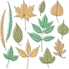 Leaves seamless pattern, vector leaf background