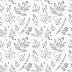 Leaves seamless pattern, black and white vector leaf background