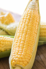 Corn on the cob, Sweet corn for cooking food, Fresh corn on wooden background, Harvest ripe corn organic