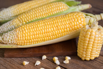 Corn on the cob, Sweet corn for cooking food, Fresh corn on wooden background, Harvest ripe corn organic