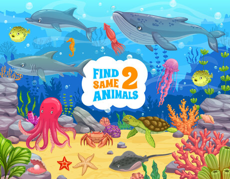 Find two same animals cartoon underwater landscape and animals. Vector board game worksheet with whale, dolphin, shark and squid. Puffer fish, jellyfish, crab and turtle or stingray on sea bottom