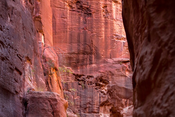 Al Siq Canyon in Petra, Jordan, pink red sandstone walls both sides