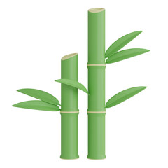 3D style bamboo with transparent background. 3D rendering. 3d illustration.