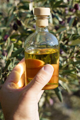 Olive oil with olive tree branch background. Natural oil for food or cosmetics from natural...