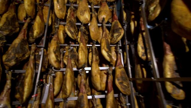 exclusive jamones ham legs factory hanging in a industry legs of Iberian ham, where it is seen in the reflections of light on the black brown skin of Iberian pig on huge factory  with good lighting