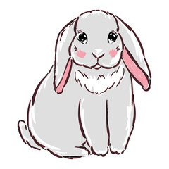 Cute rabbit, bunny, hare cartoon character. Children style, vector illustration. Sticker, design element for kids books