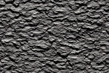 Naklejka premium Close-up of bark of a tree