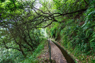 Hiking trail along Levada do Rei hike tour on Madeira island in Portugal