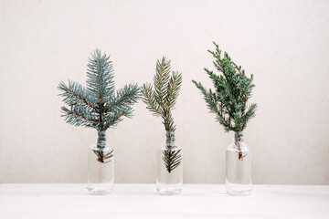Festive Eco-Friendly environmentally friendly Christmas. Sustainable green Xmas. Branches of coniferous fir trees in bottles, minimal sustainable Christmas decorations for home.