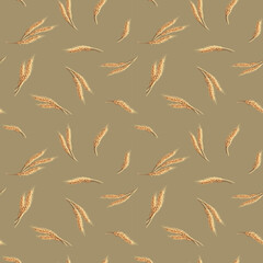 Wheat ears seamless pattern, hand drawn sketch background