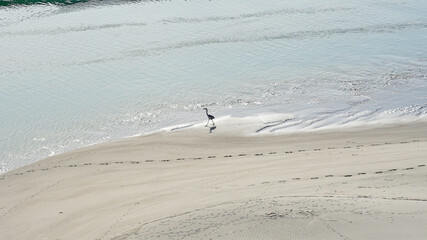 海辺の足跡　潮騒橋から遠州灘に面した国安海岸（静岡県掛川市）