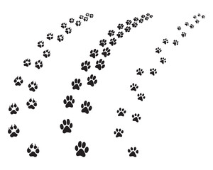 Black footprints of dogs, turning right or left, illustration on a white background	