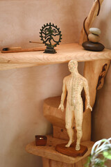 Decoration in therapy center with male doll with Chinese acupuncture meridians