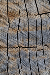 close up of wood texture with natural fibers, board material for construction
