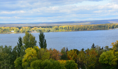 autumn in the forest