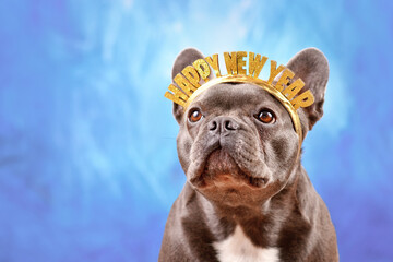 French Bulldog dog wearing New Year's Eve party celebration headband with text 'Happy new year' in...