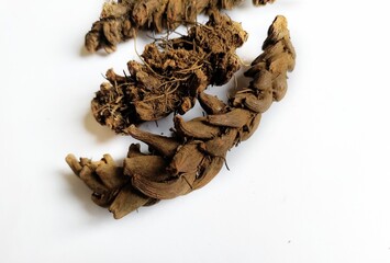 Roots of combed nail plant or button fern or kukkutnakhi (Tectaria cicutaria aspidium cicutarium) is a medicinal plant used  in practice with tribal masses and by traditional physicians in Ayurveda. 
